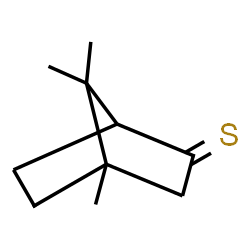 ChemSpider 2D Image | 4,7,7-Trimethylbicyclo[2.2.1]heptane-2-thione | C10H16S