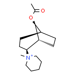 ChemSpider 2D Image | 1-[(1R,2S,5S,8S)-8-Acetoxybicyclo[3.2.1]oct-2-yl]-1-methylpiperidinium | C16H28NO2