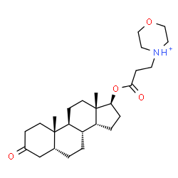 ChemSpider 2D Image | (5beta,14beta,17beta)-17-{[3-(Morpholin-4-ium-4-yl)propanoyl]oxy}-3-oxoandrostane | C26H42NO4