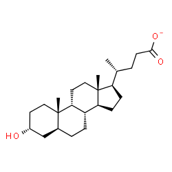 ChemSpider 2D Image | (3alpha,5alpha,9beta)-3-Hydroxycholan-24-oate | C24H39O3