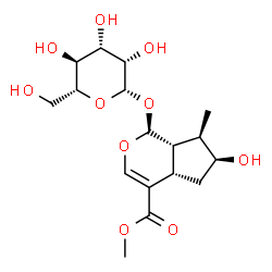ChemSpider 2D Image | Methyl (1S,4aS,6S,7R,7aS)-6-hydroxy-1-(beta-D-mannopyranosyloxy)-7-methyl-1,4a,5,6,7,7a-hexahydrocyclopenta[c]pyran-4-carboxylate | C17H26O10
