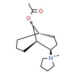 ChemSpider 2D Image | 1-[(1R,2R,5S,9R)-9-Acetoxybicyclo[3.3.1]non-2-yl]-1-methylpyrrolidinium | C16H28NO2