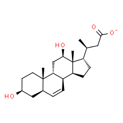 ChemSpider 2D Image | (3S)-3-[(3S,5R,8S,9R,10S,12R,13R,14S,17S)-3,12-Dihydroxy-10,13-dimethyl-2,3,4,5,8,9,10,11,12,13,14,15,16,17-tetradecahydro-1H-cyclopenta[a]phenanthren-17-yl]butanoate | C23H35O4
