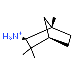 ChemSpider 2D Image | (1S,2S,4R)-1,3,3-Trimethylbicyclo[2.2.1]heptan-2-aminium | C10H20N
