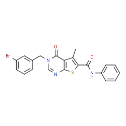 ChemSpider 2D Image | 3-(3-Bromobenzyl)-5-methyl-4-oxo-N-phenyl-3,4-dihydrothieno[2,3-d]pyrimidine-6-carboxamide | C21H16BrN3O2S