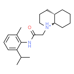 ChemSpider 2D Image | (4aS,8aS)-1-{2-[(2-Isopropyl-6-methylphenyl)amino]-2-oxoethyl}decahydroquinolinium | C21H33N2O