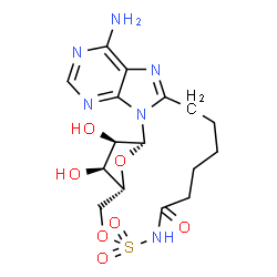 ChemSpider 2D Image | (1R,21R,22S,23R)-7-Amino-22,23-dihydroxy-19,24-dioxa-18-thia-2,4,6,9,17-pentaazatetracyclo[19.2.1.0~2,10~.0~3,8~]tetracosa-3,5,7,9-tetraen-16-one 18,18-dioxide | C16H22N6O7S