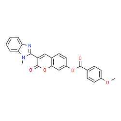 ChemSpider 2D Image | 3-(1-Methyl-1H-benzimidazol-2-yl)-2-oxo-2H-chromen-7-yl 4-methoxybenzoate | C25H18N2O5