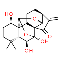 ChemSpider 2D Image | (1R,2S,5S,8R,9S,11S,13S,14S,15R,19S)-13,14,19-Trihydroxy-16,16-dimethyl-6-methylene-10,12-dioxahexacyclo[9.8.0.0~1,15~.0~2,8~.0~5,9~.0~8,13~]nonadecan-7-one | C20H26O6