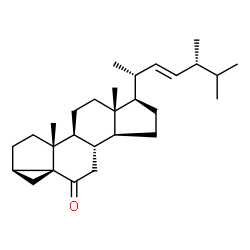 ChemSpider 2D Image | (3alpha,5alpha,22E)-3,5-Cycloergost-22-en-6-one | C28H44O