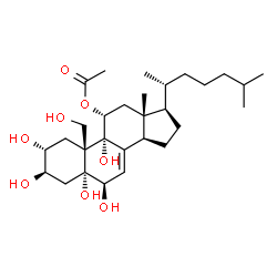 ChemSpider 2D Image | (2alpha,3beta,5alpha,6beta,11alpha)-2,3,5,6,9,19-Hexahydroxycholest-7-en-11-yl acetate | C29H48O8