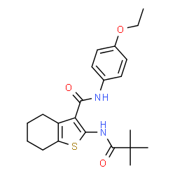 ChemSpider 2D Image | 2-[(2,2-Dimethylpropanoyl)amino]-N-(4-ethoxyphenyl)-4,5,6,7-tetrahydro-1-benzothiophene-3-carboxamide | C22H28N2O3S