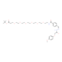 ChemSpider 2D Image | 2-Methyl-2-propanyl 1-{4-[(Z)-{[(4-methoxyphenoxy)acetyl]hydrazono}methyl]phenyl}-1-oxo-5,8,11,14,17,20-hexaoxa-2-azatricosan-23-oate | C36H53N3O12