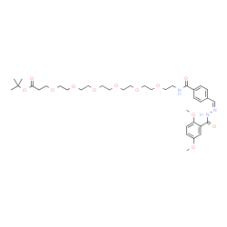 ChemSpider 2D Image | 2-Methyl-2-propanyl 1-(4-{(Z)-[(2,5-dimethoxybenzoyl)hydrazono]methyl}phenyl)-1-oxo-5,8,11,14,17,20-hexaoxa-2-azatricosan-23-oate | C36H53N3O12