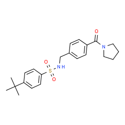 ChemSpider 2D Image | 4-(2-Methyl-2-propanyl)-N-[4-(1-pyrrolidinylcarbonyl)benzyl]benzenesulfonamide | C22H28N2O3S