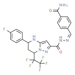 ChemSpider 2D Image | 4-[(Z)-({[5-(4-Fluorophenyl)-7-(pentafluoroethyl)-4,5,6,7-tetrahydropyrazolo[1,5-a]pyrimidin-2-yl]carbonyl}hydrazono)methyl]benzamide | C23H18F6N6O2