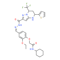 ChemSpider 2D Image | N-Cyclohexyl-2-{2-ethoxy-4-[(Z)-({[5-(2-thienyl)-7-(trifluoromethyl)-4,5,6,7-tetrahydropyrazolo[1,5-a]pyrimidin-2-yl]carbonyl}hydrazono)methyl]phenoxy}acetamide | C29H33F3N6O4S