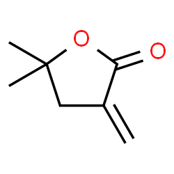 ChemSpider 2D Image | 5,5-dimethyl-3-methylenedihydrofuran-2-one | C7H10O2