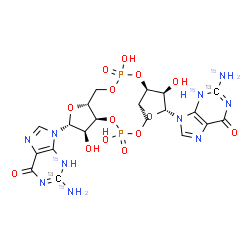 ChemSpider 2D Image | 9,9'-[(2R,3R,3aS,7aR,9R,10R,10aS,14aR)-3,5,10,12-Tetrahydroxy-5,12-dioxidooctahydro-2H,7H-difuro[3,2-d:3',2'-j][1,3,7,9,2,8]tetraoxadiphosphacyclododecine-2,9-diyl]bis[2-(~15~N)amino(2-~13~C,3-~15~N)-
3,9-dihydro-6H-purin-6-one] | C1813C2H24N615N4O14P2