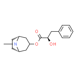 ChemSpider 2D Image | (1R,5S)-8-Methyl-8-azabicyclo[3.2.1]oct-3-yl (2R)-2-hydroxy-3-phenylpropanoate | C17H23NO3