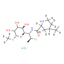 ChemSpider 2D Image | (~2~H_3_)Methyl (5R)-5-{(1S,2S)-2-chloro-1-[({4-[(1,1-~2~H_2_)ethyl](2,3,3,4,5,5,6,6-~2~H_8_)-2-piperidinyl}carbonyl)amino]propyl}-1-thio-beta-L-glycero-pentopyranoside hydrochloride (1:1) | C17H19D13Cl2N2O5S