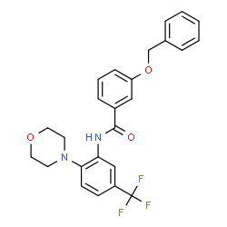 ChemSpider 2D Image | 3-(Benzyloxy)-N-[2-(4-morpholinyl)-5-(trifluoromethyl)phenyl]benzamide | C25H23F3N2O3