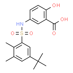 ChemSpider 2D Image | 5-[(5-tert-butyl-2,3-dimethylphenyl)sulfonylamino]-2-hydroxybenzoic acid | C19H23NO5S