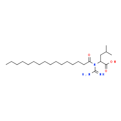 ChemSpider 2D Image | N-Carbamimidoyl-N-palmitoylleucine | C23H45N3O3