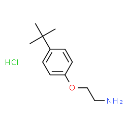 ChemSpider 2D Image | 2-(4-tert-butylphenoxy)ethanamine hydrochloride | C12H20ClNO