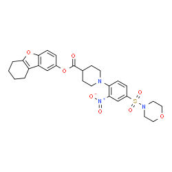 ChemSpider 2D Image | 6,7,8,9-Tetrahydrodibenzo[b,d]furan-2-yl 1-[4-(4-morpholinylsulfonyl)-2-nitrophenyl]-4-piperidinecarboxylate | C28H31N3O8S