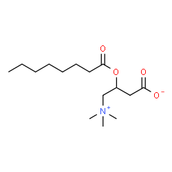 ChemSpider 2D Image | octanoylcarnitine | C15H29NO4