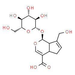 ChemSpider 2D Image | (1S)-1-(beta-D-Glucopyranosyloxy)-7-(hydroxymethyl)-1,4a,5,7a-tetrahydrocyclopenta[c]pyran-4-carboxylic acid | C16H22O10
