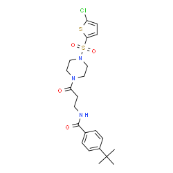 ChemSpider 2D Image | N-(3-{4-[(5-Chloro-2-thienyl)sulfonyl]-1-piperazinyl}-3-oxopropyl)-4-(2-methyl-2-propanyl)benzamide | C22H28ClN3O4S2