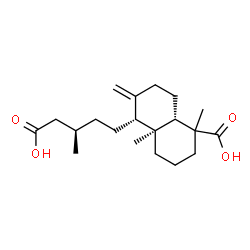 ChemSpider 2D Image | (4aS,5R,8aS)-5-[(3R)-4-Carboxy-3-methylbutyl]-1,4a-dimethyl-6-methylenedecahydro-1-naphthalenecarboxylic acid | C20H32O4