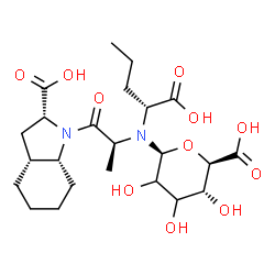 ChemSpider 2D Image | (2R,3aR,7aR)-1-[(2S)-2-{[(1R)-1-Carboxybutyl][(2S,5R,6R)-6-carboxy-3,4,5-trihydroxytetrahydro-2H-pyran-2-yl]amino}propanoyl]octahydro-1H-indole-2-carboxylic acid (non-preferred name) | C23H36N2O11