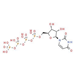 ChemSpider 2D Image | 1-(5-O-{Hydroxy[(hydroxy{[hydroxy(phosphonooxy)phosphoryl]oxy}phosphoryl)oxy]phosphoryl}-beta-L-ribofuranosyl)-2,4(1H,3H)-pyrimidinedione | C9H16N2O18P4