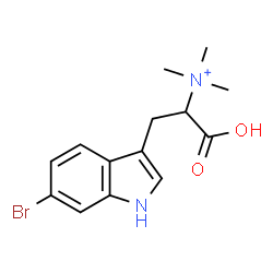 ChemSpider 2D Image | 2-(6-Bromo-1H-indol-3-yl)-1-carboxy-N,N,N-trimethylethanaminium | C14H18BrN2O2