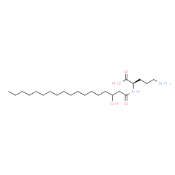 ChemSpider 2D Image | N~2~-(3-Hydroxyoctadecanoyl)-D-ornithine | C23H46N2O4
