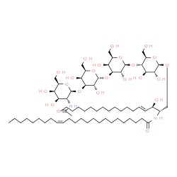 ChemSpider 2D Image | (15Z)-N-[(2S,3R,4E)-1-{[2-Acetamido-2-deoxy-beta-D-galactopyranosyl-(1->3)-alpha-D-galactopyranosyl-(1->3)-beta-D-galactopyranosyl-(1->4)-beta-D-glucopyranosyl]oxy}-3-hydroxy-4-octadecen-2-yl]-15-tetr
acosenamide | C68H124N2O23