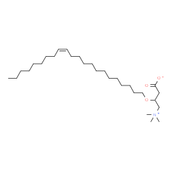 ChemSpider 2D Image | 3-[(13Z)-13-Docosen-1-yloxy]-4-(trimethylammonio)butanoate | C29H57NO3