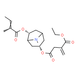 ChemSpider 2D Image | 1-Ethyl 4-[(3S,6R)-8-methyl-6-{[(2E)-2-methyl-2-butenoyl]oxy}-8-azabicyclo[3.2.1]oct-3-yl] 2-methylenesuccinate | C20H29NO6