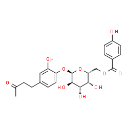 ChemSpider 2D Image | 2-Hydroxy-4-(3-oxobutyl)phenyl 6-O-(4-hydroxybenzoyl)-alpha-D-galactopyranoside | C23H26O10