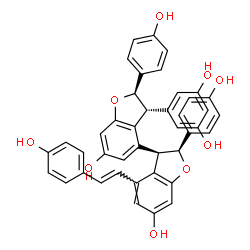 ChemSpider 2D Image | (2S,2'R,3R,3'R)-3'-(3,5-Dihydroxyphenyl)-2,2'-bis(4-hydroxyphenyl)-4-[(E)-2-(4-hydroxyphenyl)vinyl]-2,2',3,3'-tetrahydro-3,4'-bi-1-benzofuran-6,6'-diol | C42H32O9