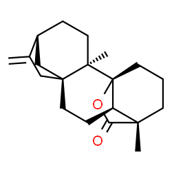 ChemSpider 2D Image | (1S,2R,5R,8S,11R,12S)-2,12-Dimethyl-6-methylene-16-oxapentacyclo[10.3.2.1~5,8~.0~1,11~.0~2,8~]octadecan-17-one | C20H28O2