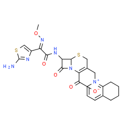 ChemSpider 2D Image | 7-{[(2E)-2-(2-Amino-1,3-thiazol-4-yl)-2-(methoxyimino)acetyl]amino}-8-oxo-3-(5,6,7,8-tetrahydro-1-quinoliniumylmethyl)-5-thia-1-azabicyclo[4.2.0]oct-2-ene-2-carboxylate | C23H24N6O5S2