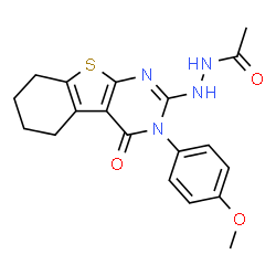 ChemSpider 2D Image | N'-[3-(4-Methoxyphenyl)-4-oxo-3,4,5,6,7,8-hexahydro[1]benzothieno[2,3-d]pyrimidin-2-yl]acetohydrazide | C19H20N4O3S