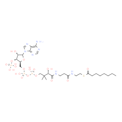 ChemSpider 2D Image | S-{(9S)-1-[(2S,3R,4S)-5-(6-Amino-9H-purin-9-yl)-4-hydroxy-3-(phosphonooxy)tetrahydro-2-furanyl]-3,5,9-trihydroxy-8,8-dimethyl-3,5-dioxido-10,14-dioxo-2,4,6-trioxa-11,15-diaza-3lambda~5~,5lambda~5~-dip
hosphaheptadecan-17-yl} octanethioate (non-preferred name) | C29H50N7O17P3S