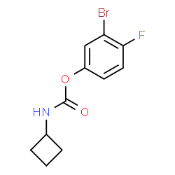 ChemSpider 2D Image | 3-Bromo-4-fluorophenyl cyclobutylcarbamate | C11H11BrFNO2