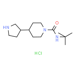 ChemSpider 2D Image | N-(2-Methyl-2-propanyl)-4-(3-pyrrolidinyl)-1-piperidinecarboxamide hydrochloride (1:1) | C14H28ClN3O