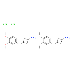 ChemSpider 2D Image | 3-(3,4-Dimethoxyphenoxy)cyclobutanamine hydrochloride | C24H36Cl2N2O6